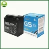 Ắc quy GS GT7A (12V – 7AH)
